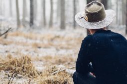 Visit the forest (full-width post)